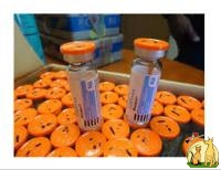 Top Pure Quality Anesket 1000mg/10ml For Sale, Persian